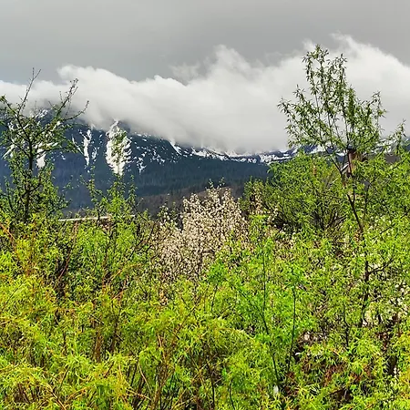 ファームステイ Pod Kwiatkiem ザボヤ