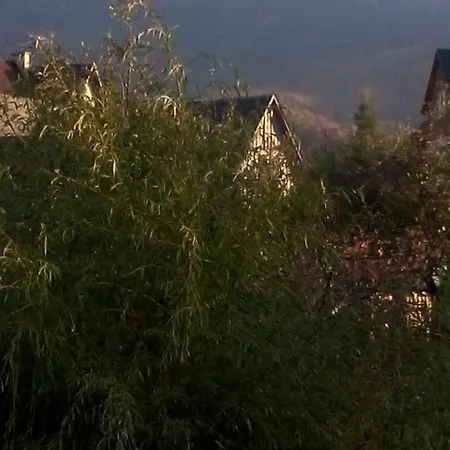 Pod Kwiatkiem ザボヤ