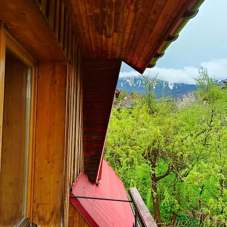 Pod Kwiatkiem ザボヤ