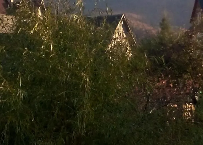 Pod Kwiatkiem Zawoja